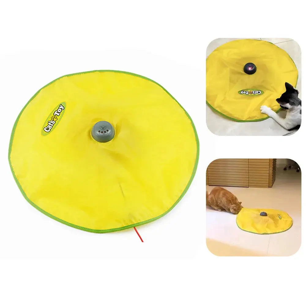 4 Speeds Interactive Electric Cat Toy