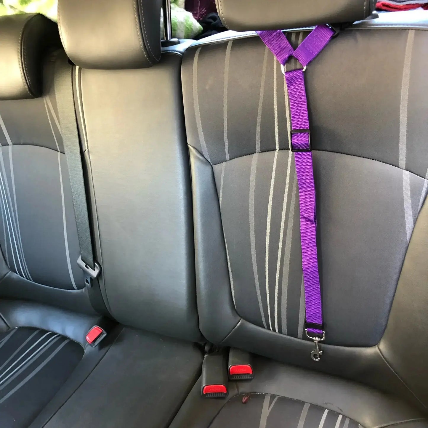 PawSecure™ Adjustable Leash