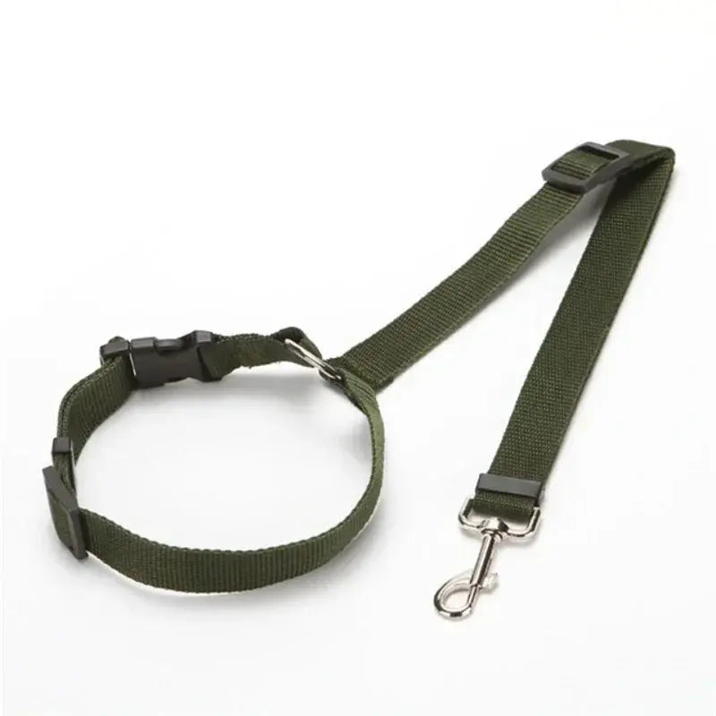 PawSecure™ Adjustable Leash