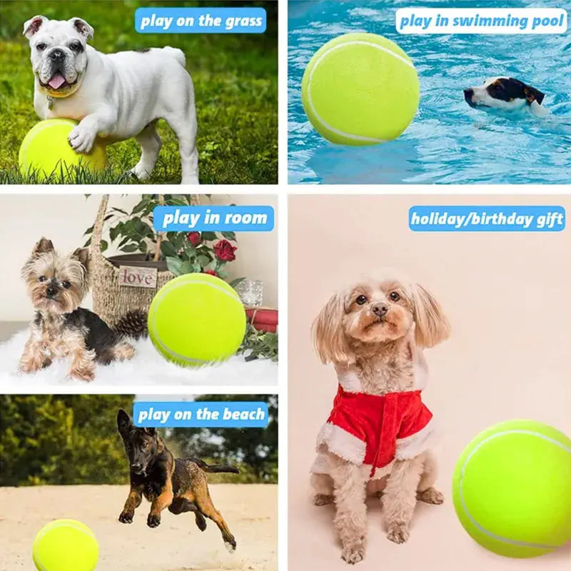 BarkBall - The Ultimate Giant Tennis Ball for Dogs