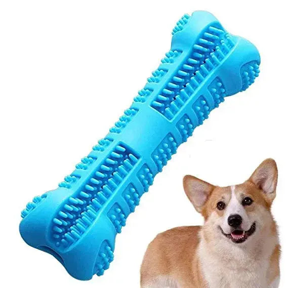Dog Bone Toothbrush Cleaning