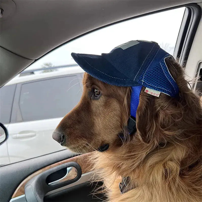 Dog Hat Sunscreen Hat Baseball Cap