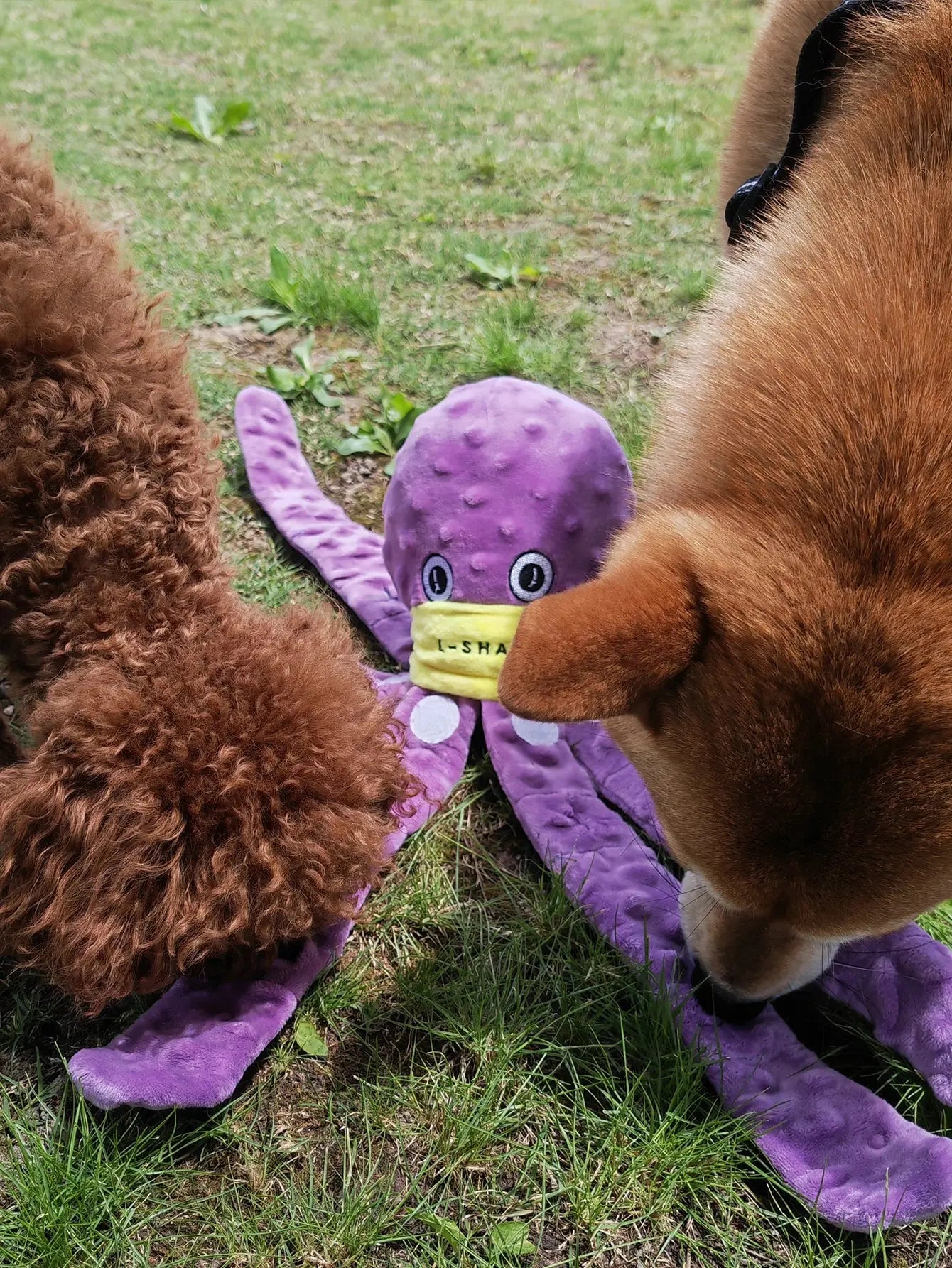 Snuffle Octopus Dog Toy – Interactive Slow Feeder and Enrichment Game