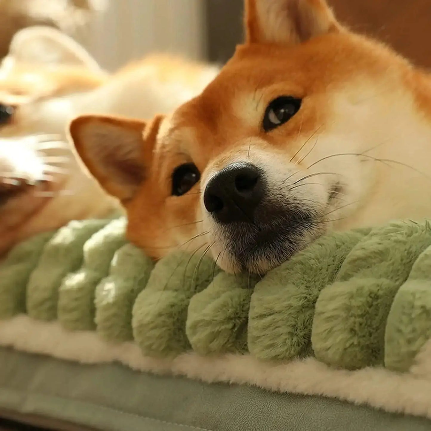 Dog Kennel Removable and Washable Pet Mat Bed for Comfort
