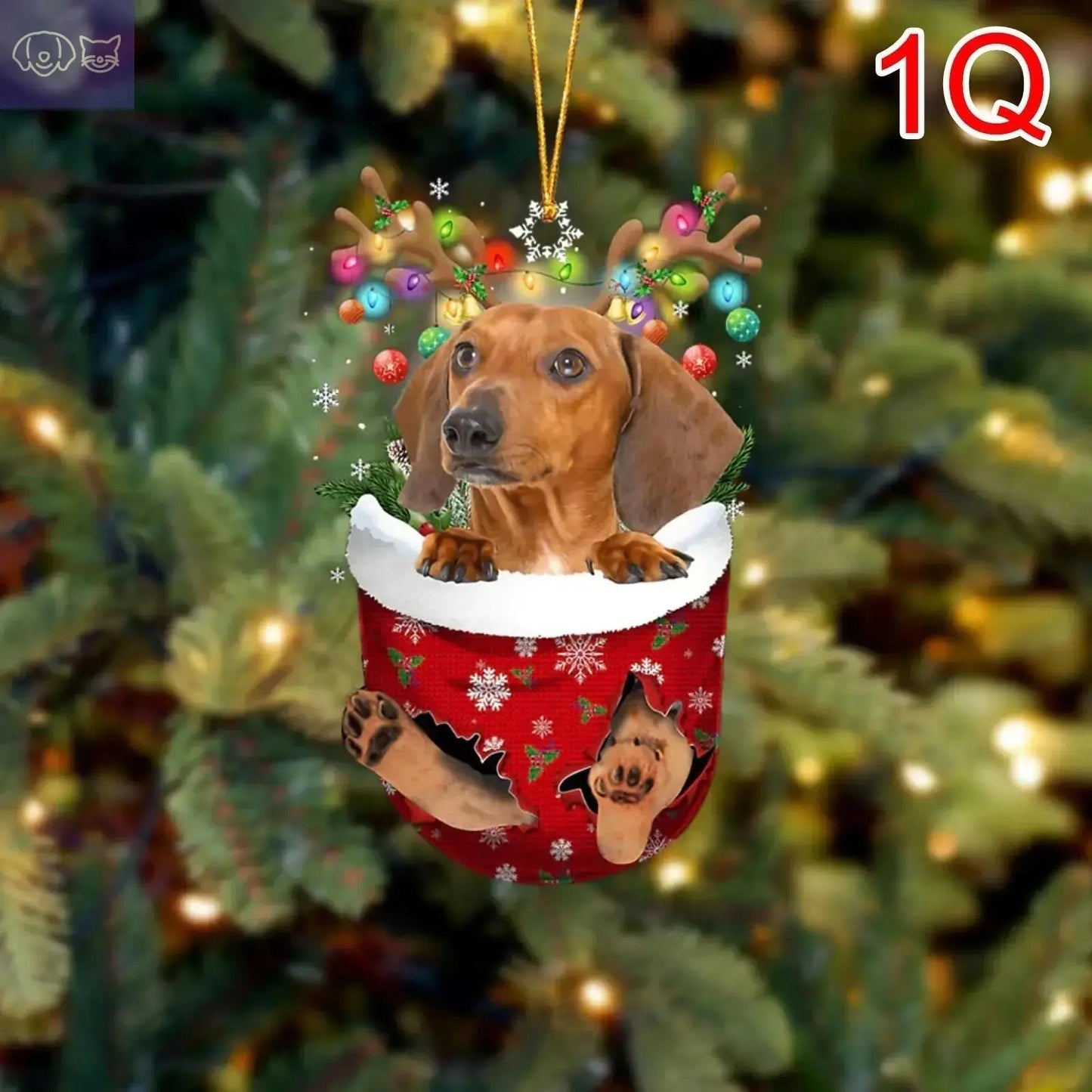 Dogs Snow Pocket Ornaments
