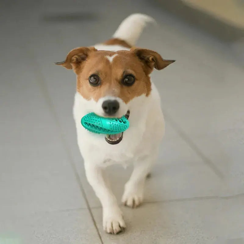 Natural Rubber Chew Toy EZCHEW – Tooth-Cleaning Dog Toy