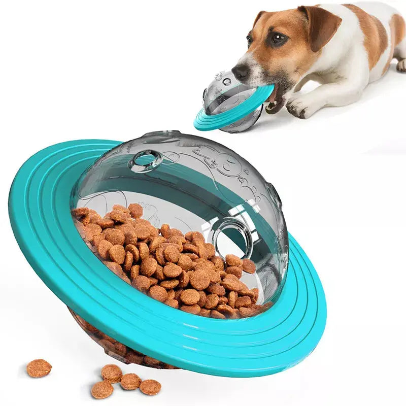 Flying Saucer Dog Slow Food Feeder