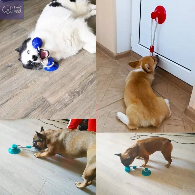 ChewzyPaw™ Dog Bite Toy