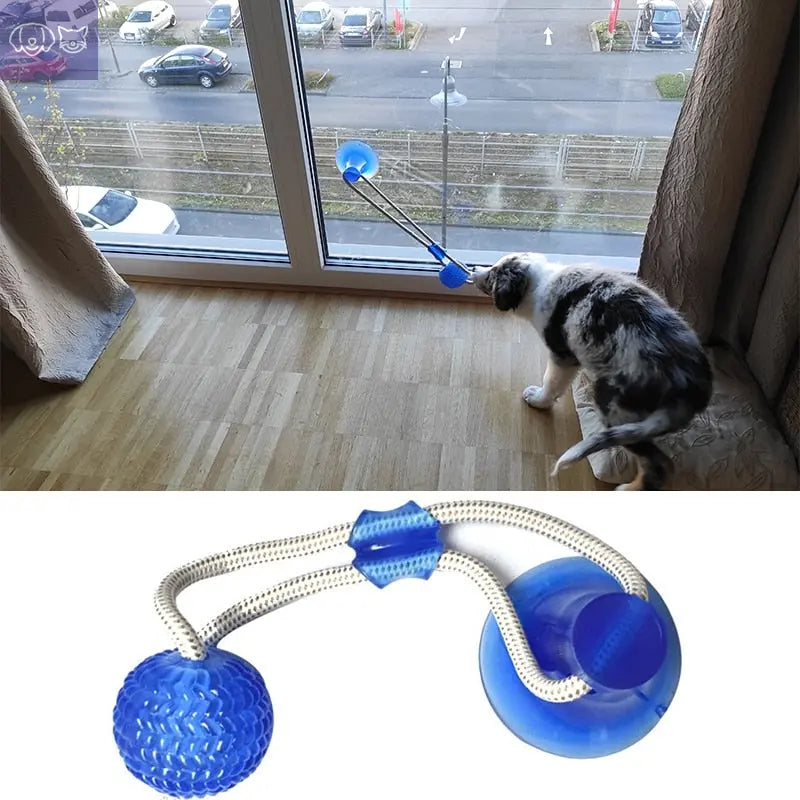 ChewzyPaw™ Dog Bite Toy