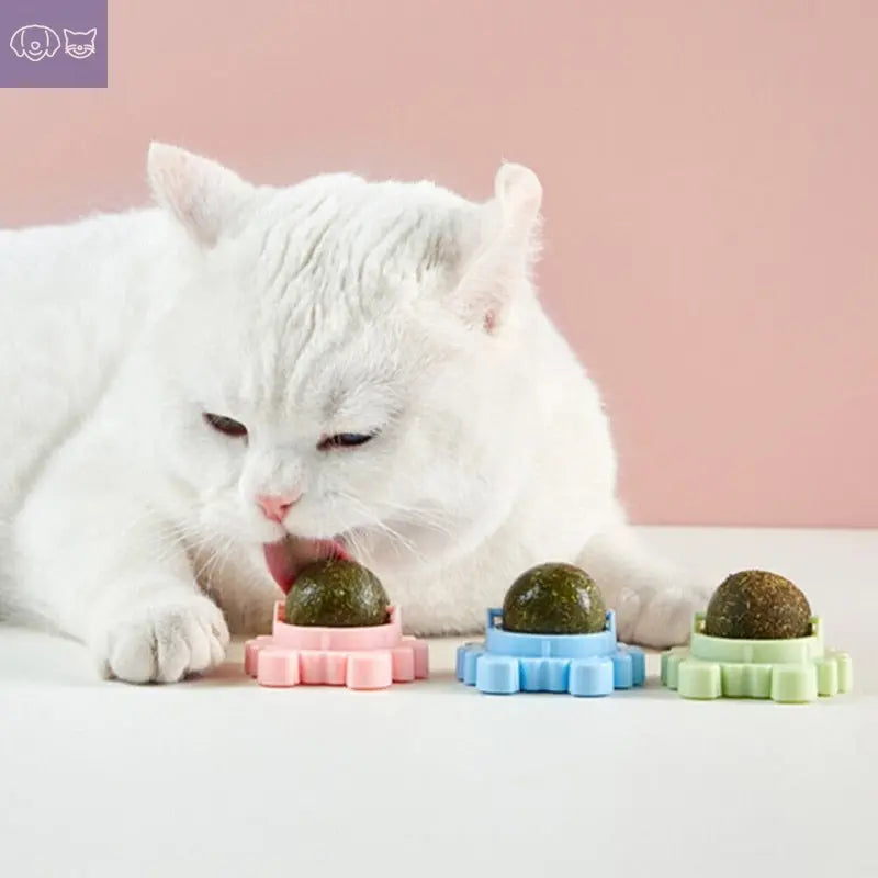 Natural Catnip Cat Rotatable Catnip Wall Ball