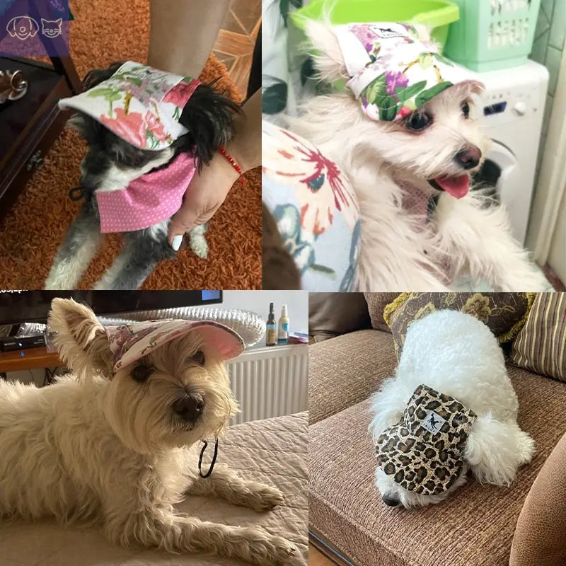 Pet Fashion Cap: Stylish Headwear for Your Furry Friend