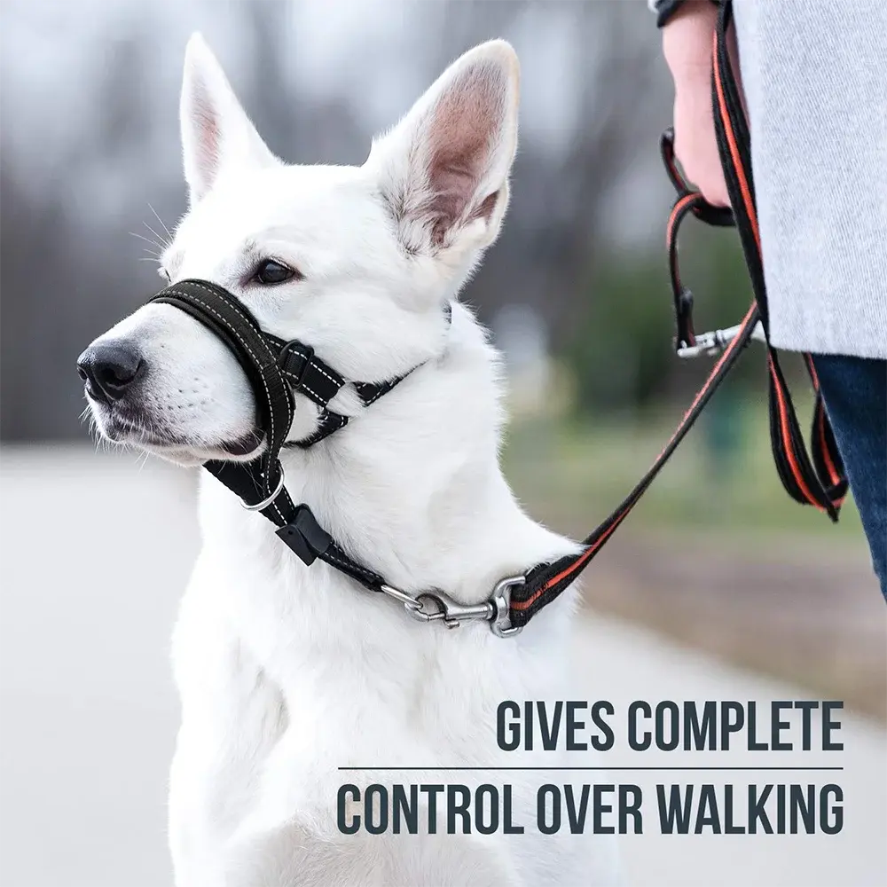 Head Halter Muzzle | QuickEase Anti-Bite & No-Pull Control for Dogs