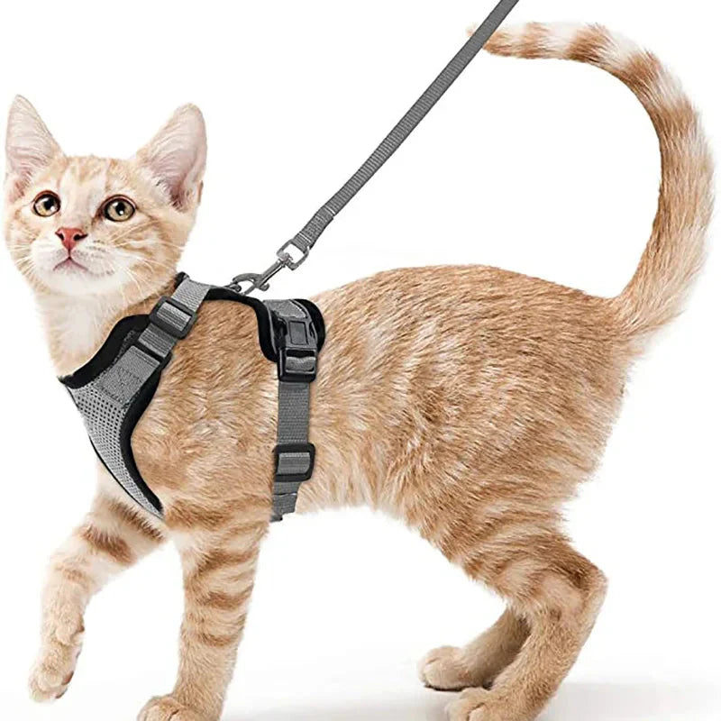 Cat Harness and Leash for Walking β Escape Proof, Soft & Adjustable Vest Harnesses