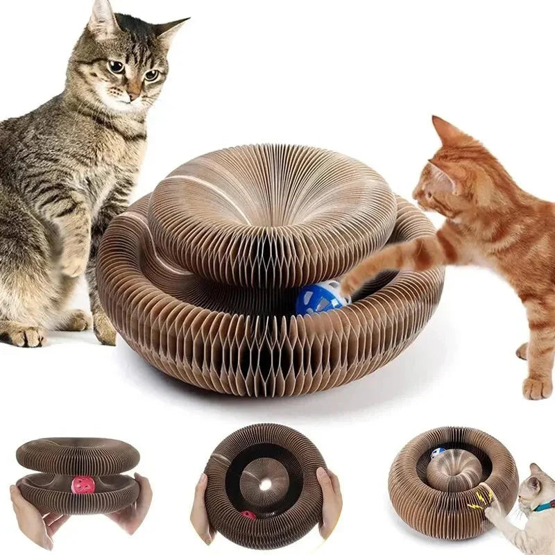 Magic Cat Scratch Organ Board Cat Toy β Fun Ball & Corrugated Claw Climbing Frame