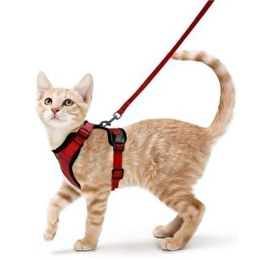 Cat Harness and Leash for Walking β Escape Proof, Soft & Adjustable Vest Harnesses