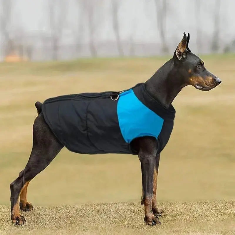 Winter Dog Vest with Zipper – Waterproof & Available in Sizes S-7XL