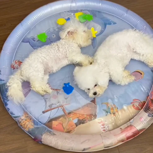 ChillTailz Water Bed™