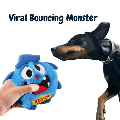 Chewie Viral Bouncing Monster