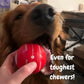 PawPogo™