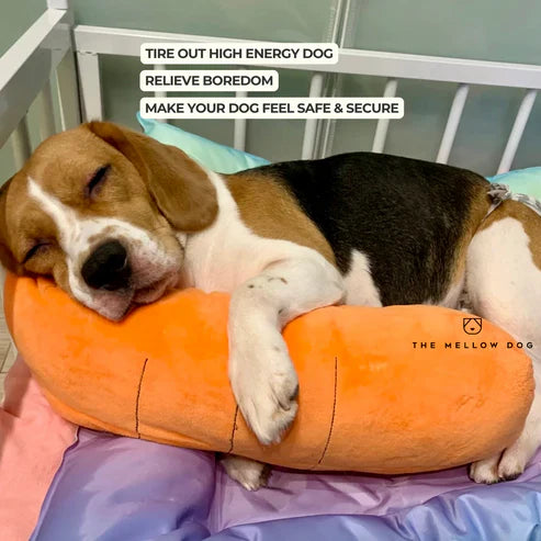 ZenChomp™ Calming Dog Toy