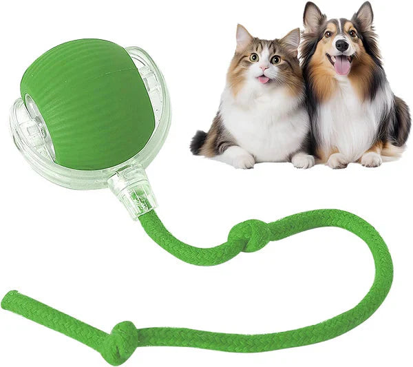 ChewLoon™