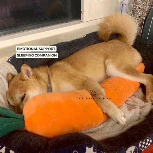 ZenChomp™ Calming Dog Toy
