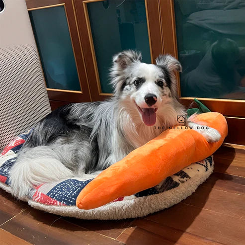 ZenChomp™ Calming Dog Toy