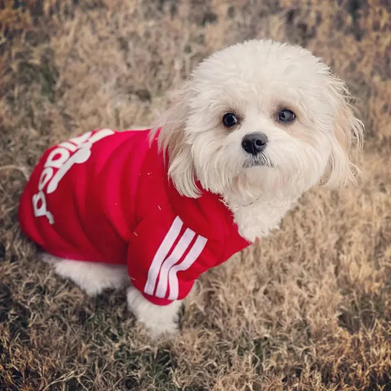 Adidog Pet Dog Clothes – Cotton Hooded Sweatshirt for All Sizes