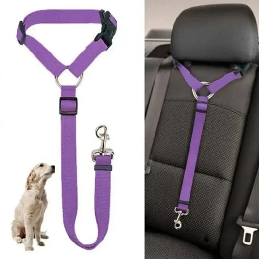 PawSecure™ Adjustable Leash
