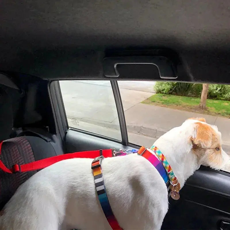 PawSecure™ Adjustable Leash