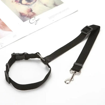 PawSecure™ Adjustable Leash
