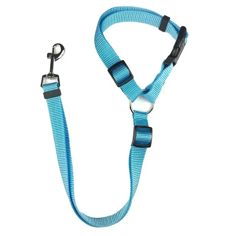 PawSecure™ Adjustable Leash