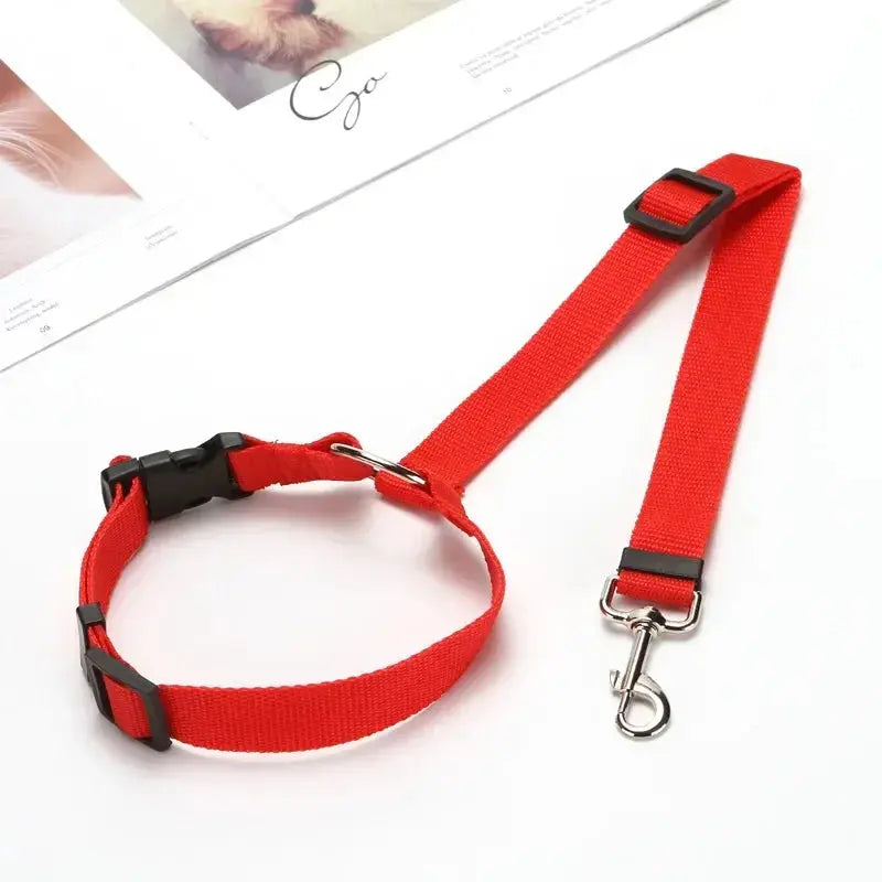 PawSecure™ Adjustable Leash