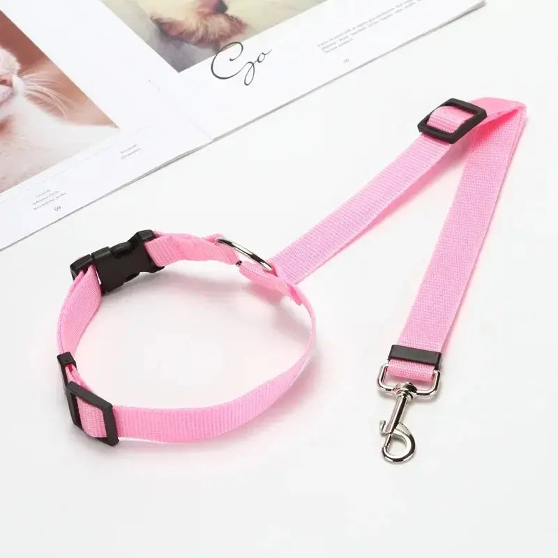 PawSecure™ Adjustable Leash