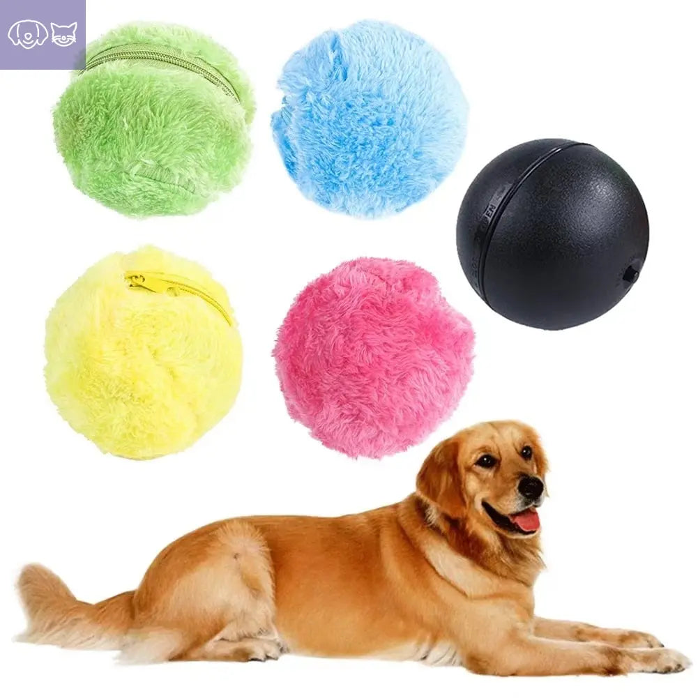 PawMagic Roller™ – Auto-Moving Ball