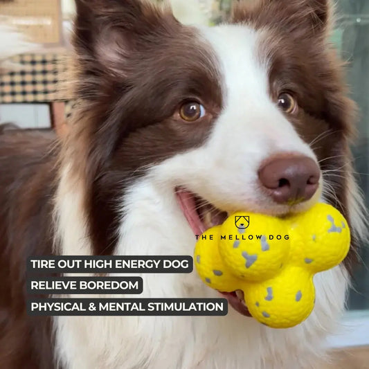 RelaxOrb™ Calming Dog Toy