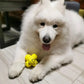 RelaxOrb™ Calming Dog Toy