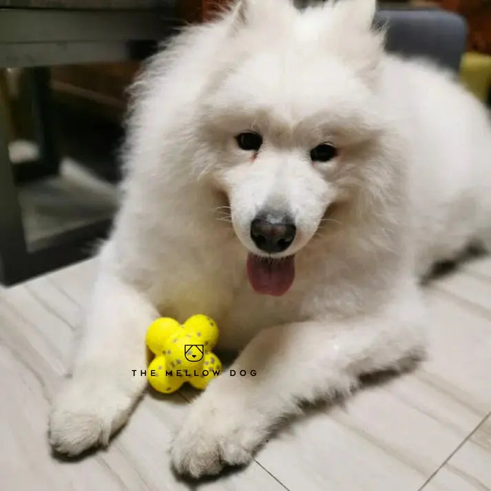 RelaxOrb™ Calming Dog Toy