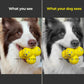 RelaxOrb™ Calming Dog Toy