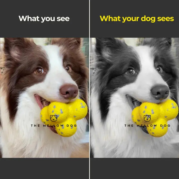 RelaxOrb™ Calming Dog Toy