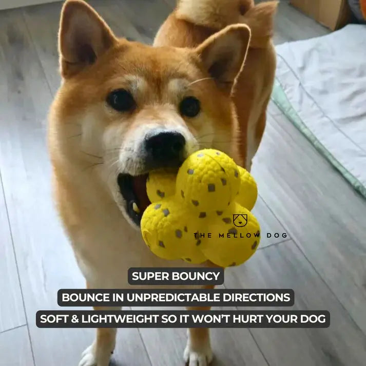 RelaxOrb™ Calming Dog Toy