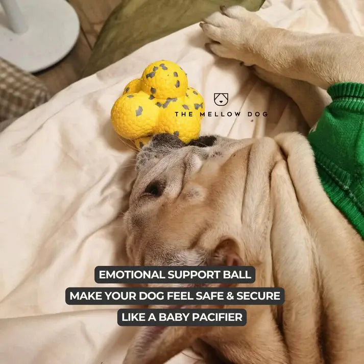 RelaxOrb™ Calming Dog Toy
