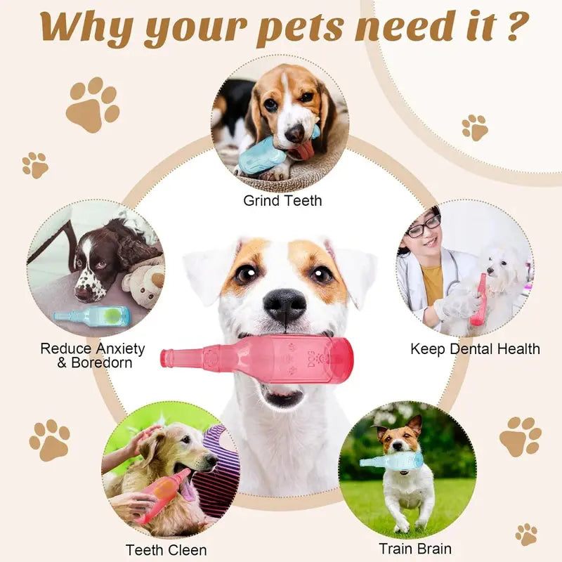 Bite-Resistant Water Bottle Dog Toy