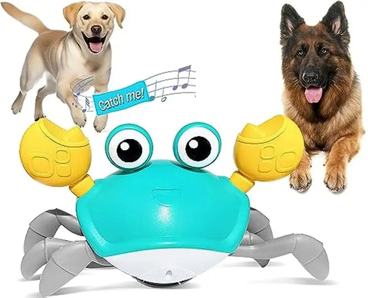 WanderClaw™- Engaging Play Companion for Dogs