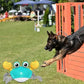 WanderClaw™- Engaging Play Companion for Dogs