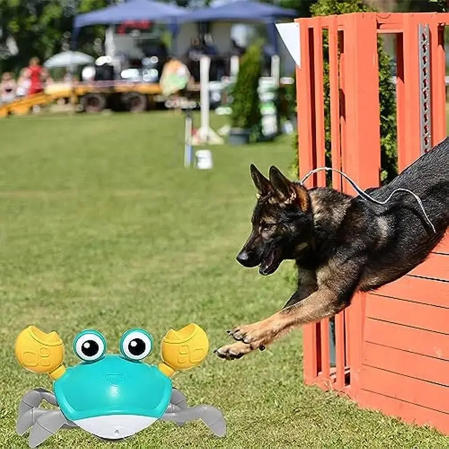WanderClaw™- Engaging Play Companion for Dogs