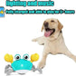 WanderClaw™- Engaging Play Companion for Dogs