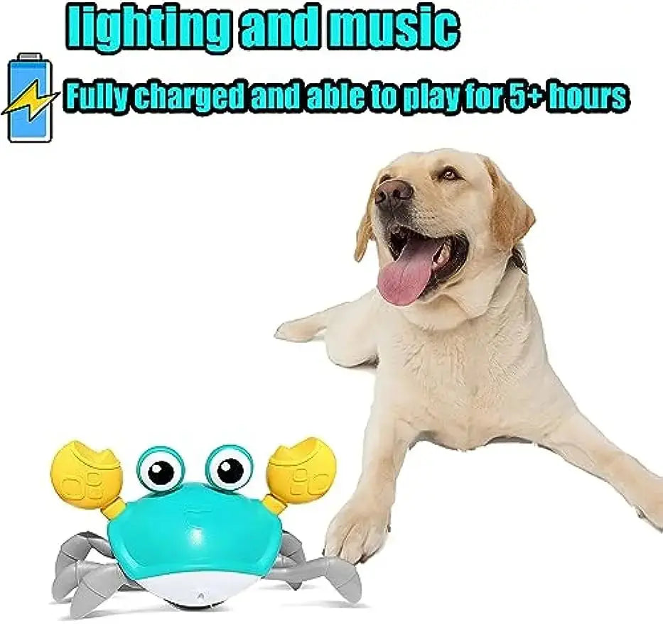 WanderClaw™- Engaging Play Companion for Dogs
