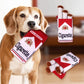CiggyPup™ Plush, Squeaky Fun for Dogs of All Sizes