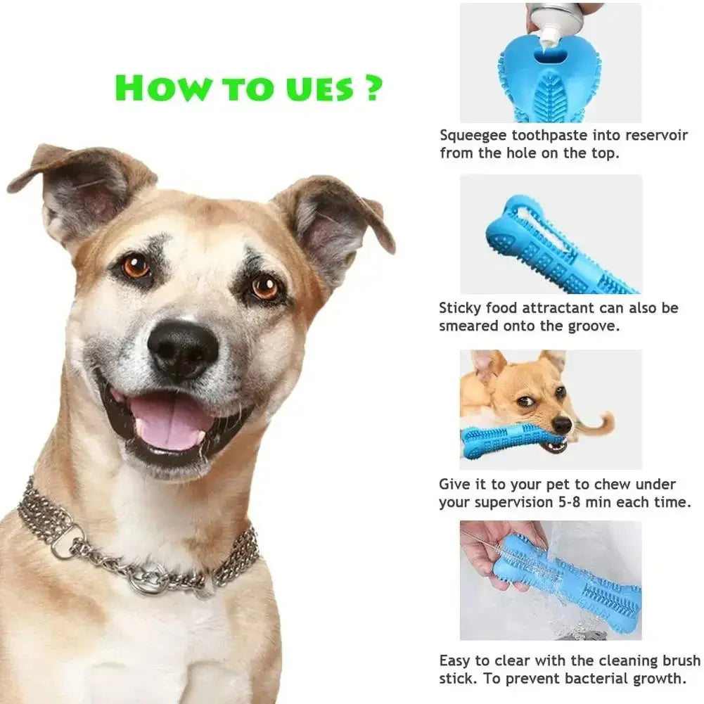 Dog Bone Toothbrush Cleaning